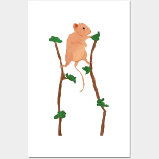 Harvest Mouse Posters and Art